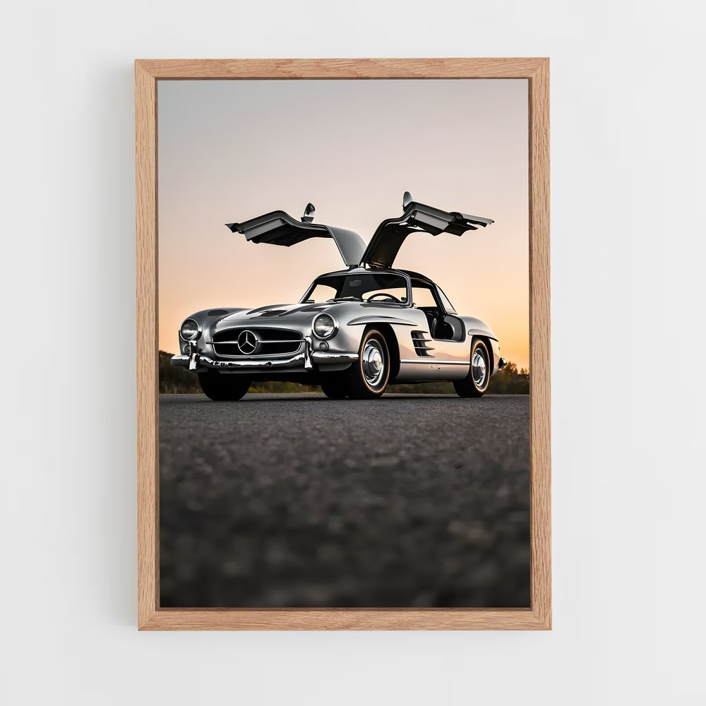 Poster L'Aile de la Mercedes (vue 4)